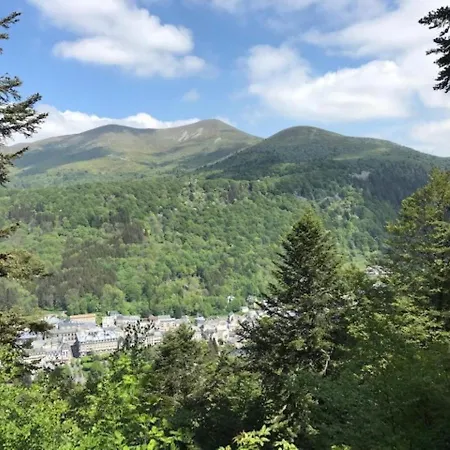 Apartment Mont-dore : T2 Spacieux Avec Terrasse, 300m Des Thermes, Renovee, Parking Prive - Fr-1-608-98